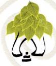 Des vies et des idées d'ailleurs Bio-construction.com